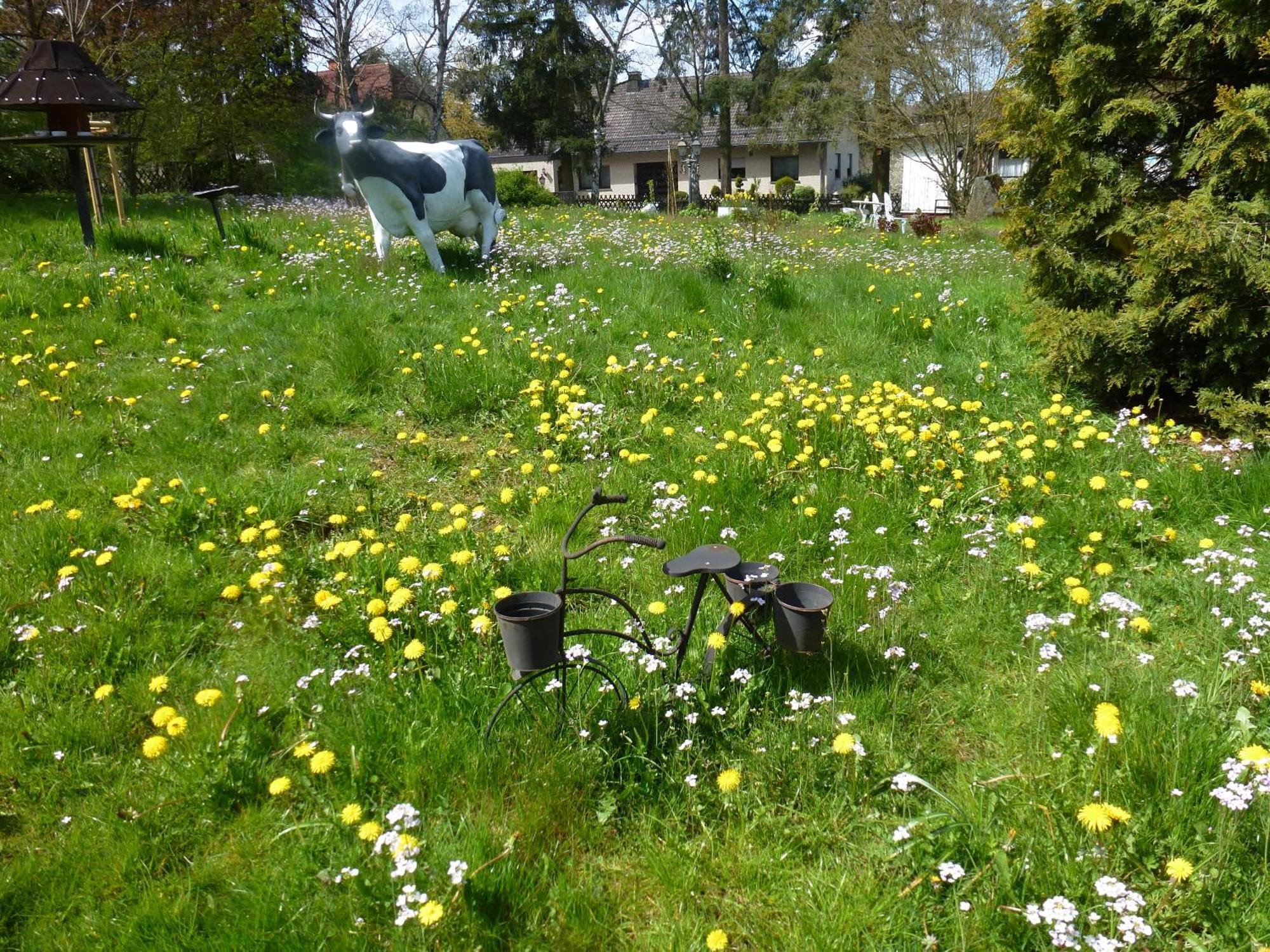 Land Des Friedens In Nettersheim / Eifel公寓 外观 照片