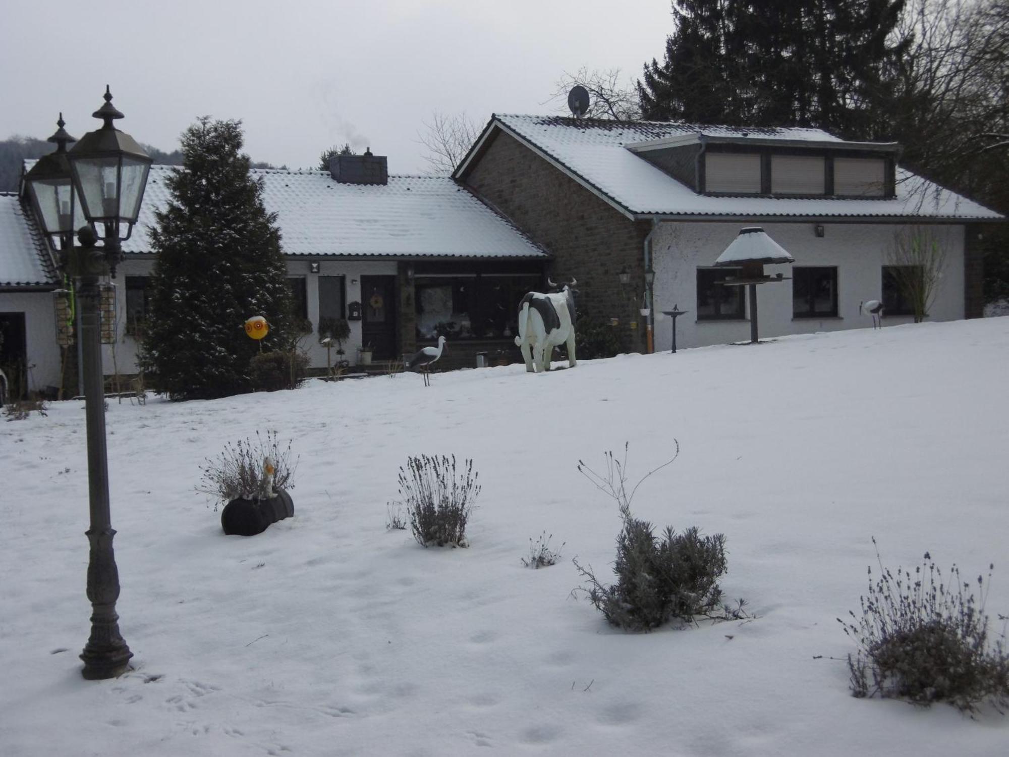 Land Des Friedens In Nettersheim / Eifel公寓 外观 照片
