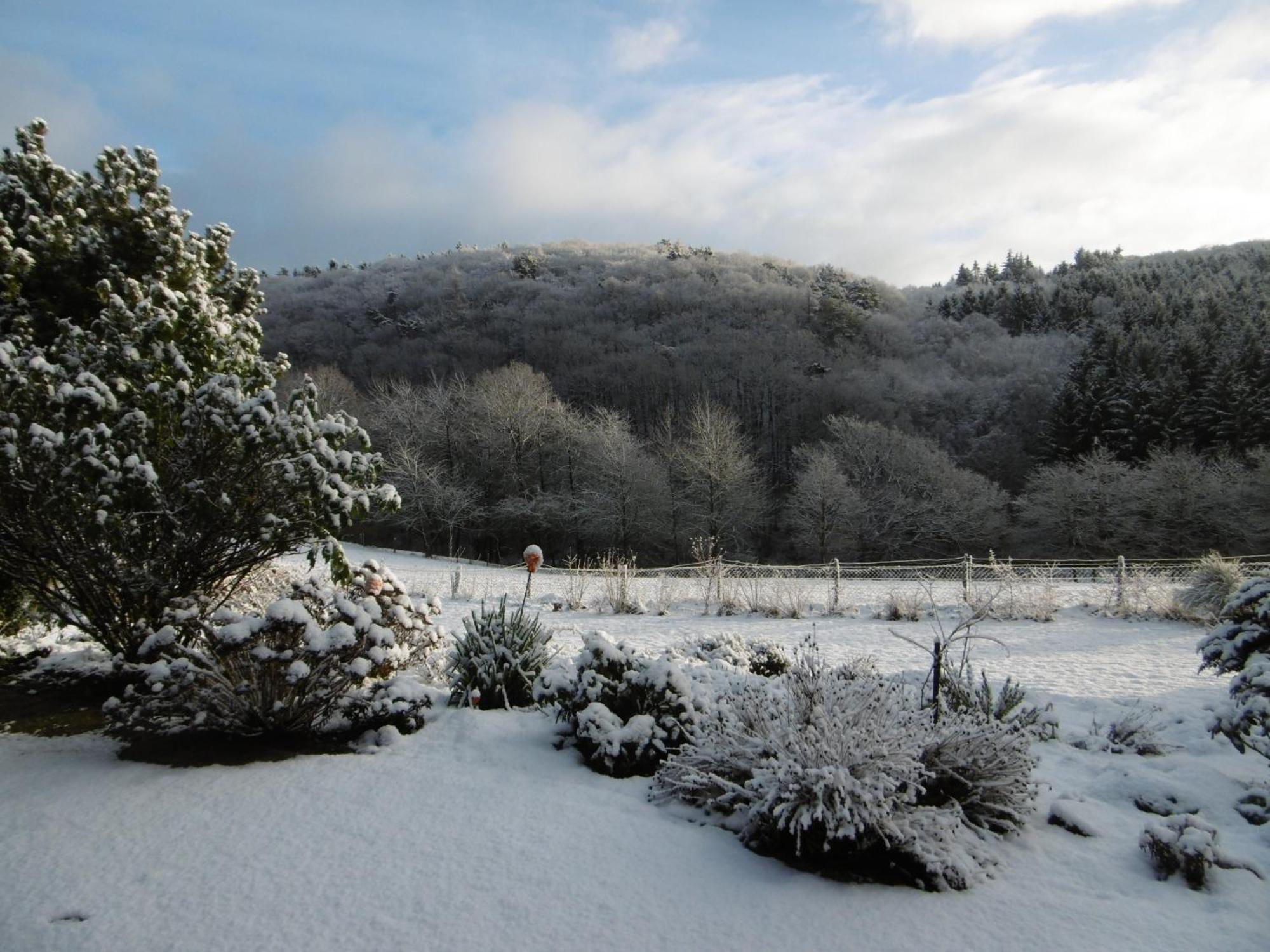 Land Des Friedens In Nettersheim / Eifel公寓 外观 照片