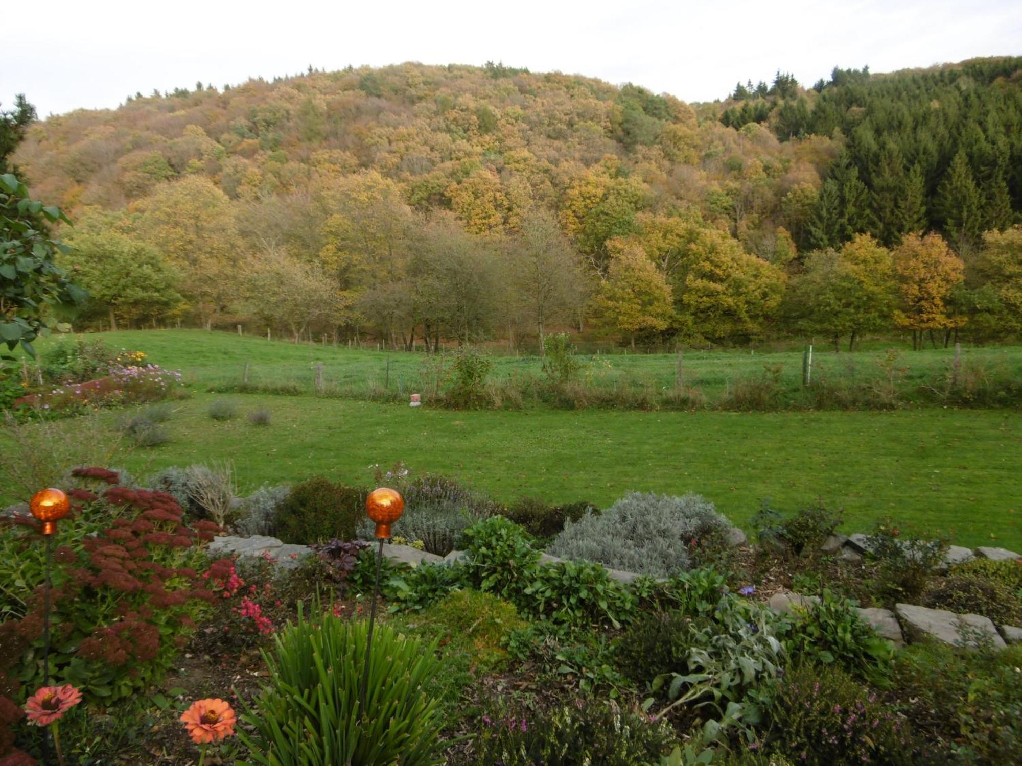 Land Des Friedens In Nettersheim / Eifel公寓 外观 照片